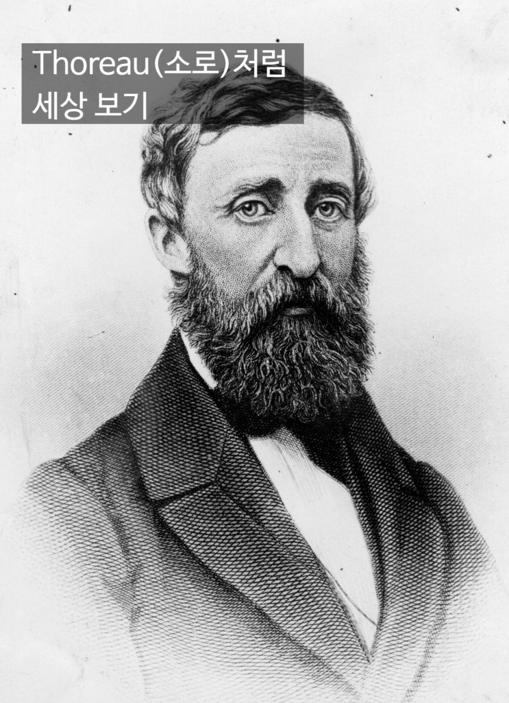  에릭 와이너의 『소크라테스 익스프레스』: 소로(Thoreau)처럼 ‘제대로’ 보는 법