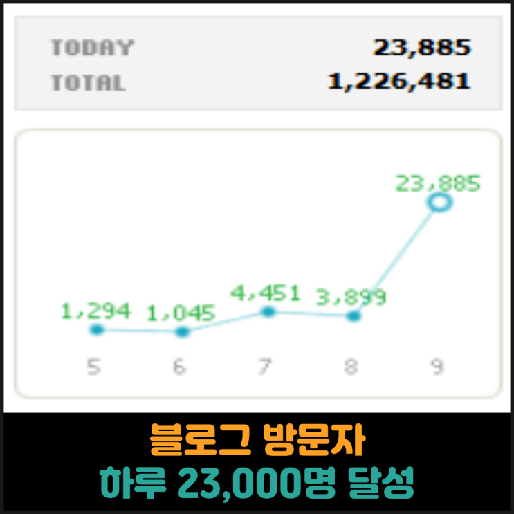  블로그 방문자, 하루 23,000명 달성