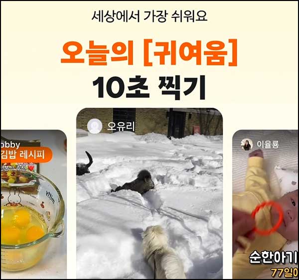  당근 릴스 업로드(메가커피등)전원~02.20