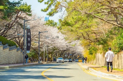 사진 5