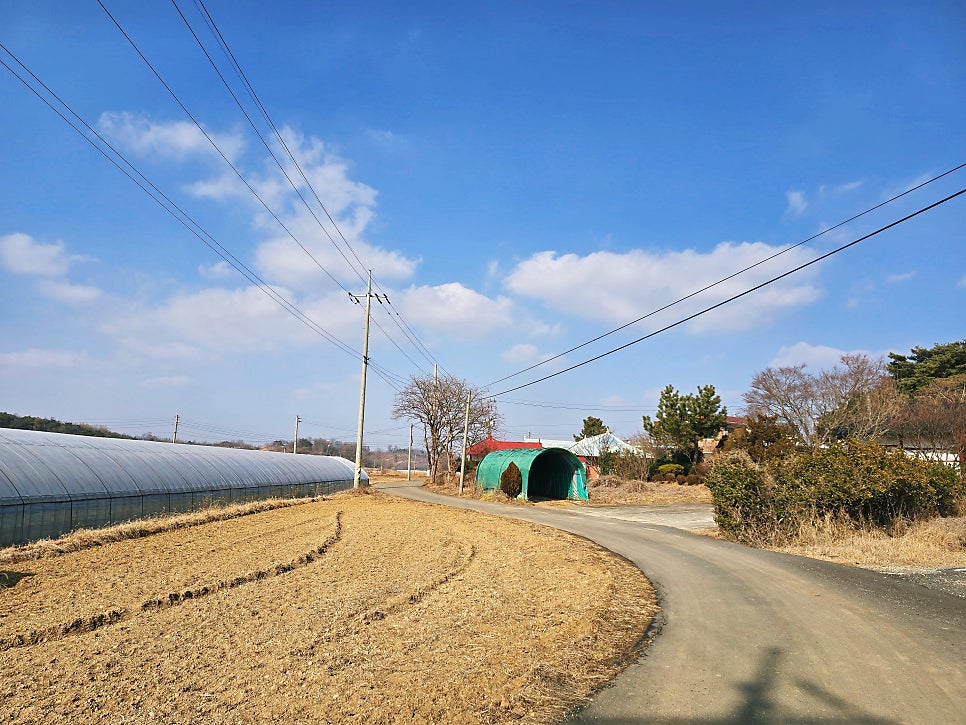 홍동저수지 사진 5