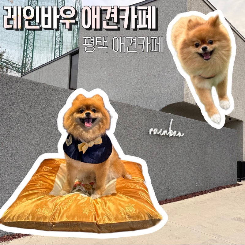 사진 5