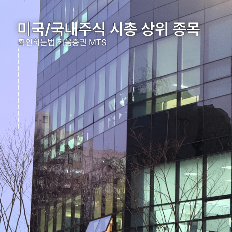  미국 국내 주식 시총 상위 종목 확인하는법 키움증권 MTS