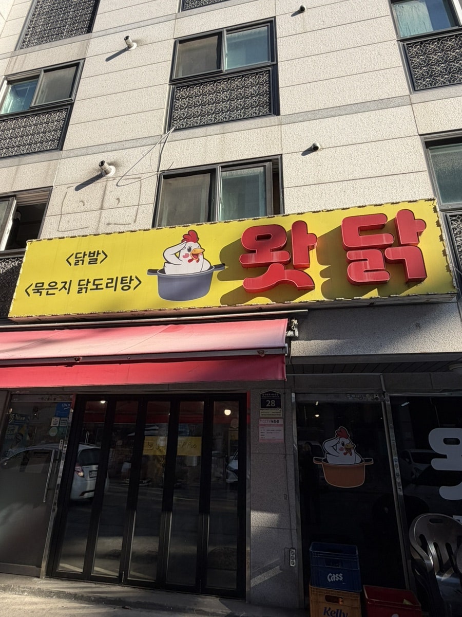 왓닭 사진 2