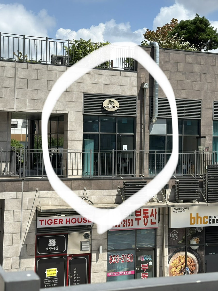 카페힐로 사진 3