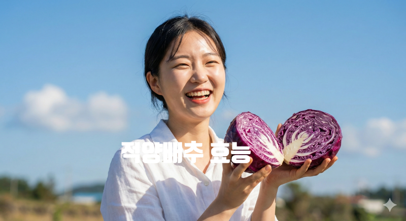 적양배추효능 7가지 영양 파괴 없이 먹는 방법!