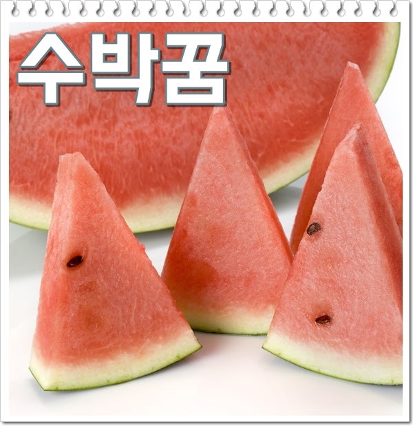 수박꿈 해몽 엄청큰수박꿈 태몽 다양한 길몽 풀이