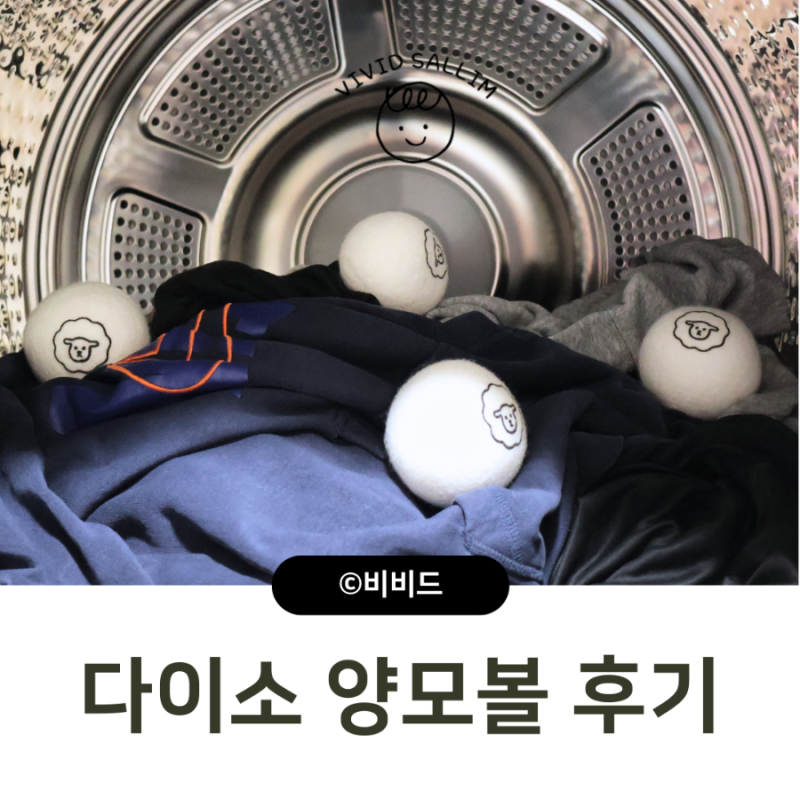 다이소 추천템 건조기 양모볼 내돈내산 후기 장점 단점 정리