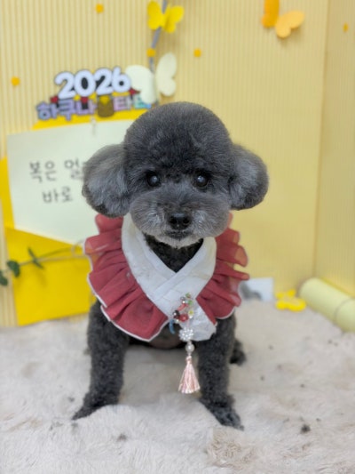 사진 8