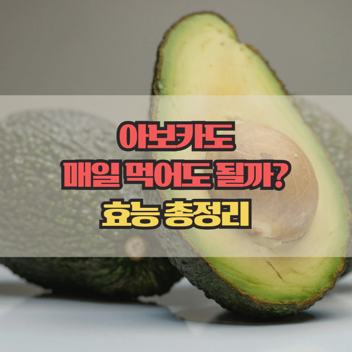  아보카도 효능 총정리, 매일 한개 먹어도 되는 이유