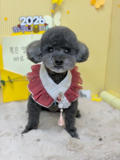 사진 9