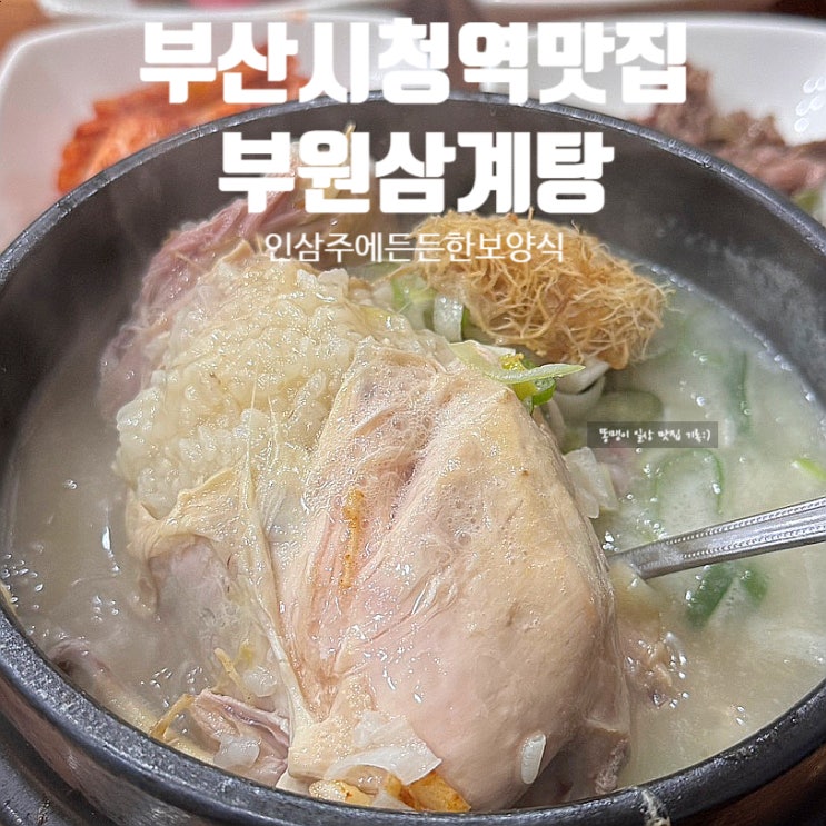  부산시청역맛집 부원삼계탕 인삼주 서비스 든든한 보양식 추천