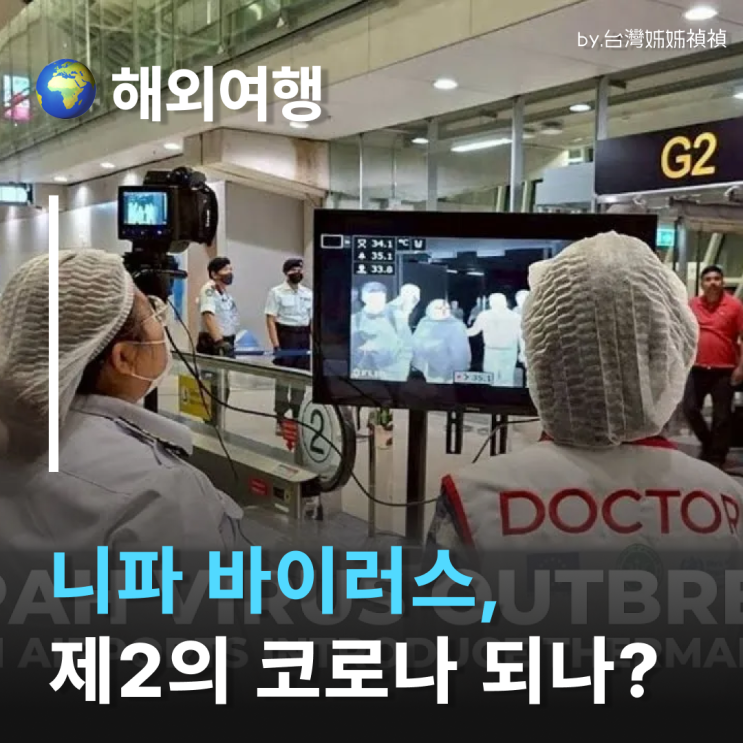  니파바이러스증상·니파바이러스감염경로 정리 니파바이러스한국 상황까지 팩트로 정리