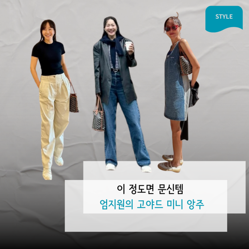 고야드 미니 앙주, 엄지원 가방으로 유명한 고야드 미니 앙주 가격