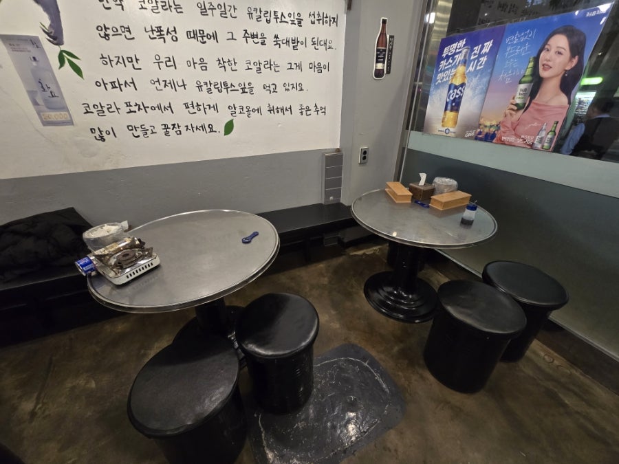 코알라포차 사진 3