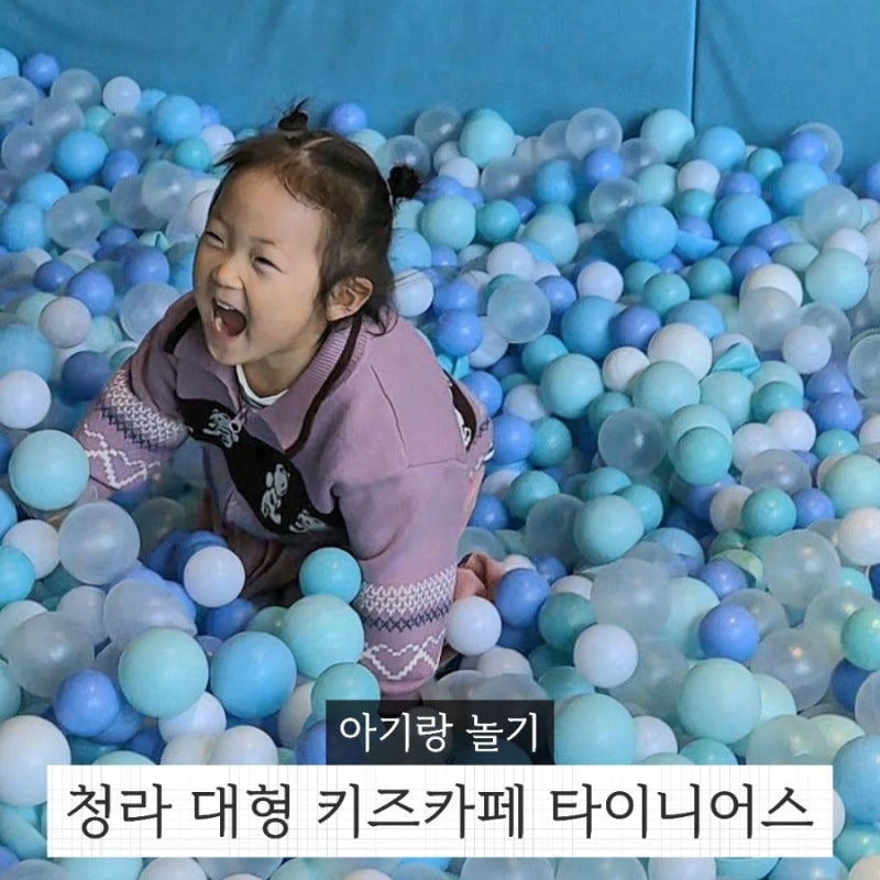 사진 6