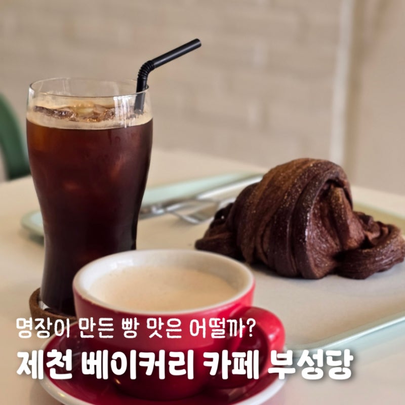 사진 9