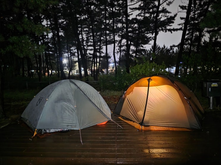  캠핑 10회차(동해 망상 제2오토캠핑장):바다 바로 앞 캠핑장, 예약 방법, 사이트 추천