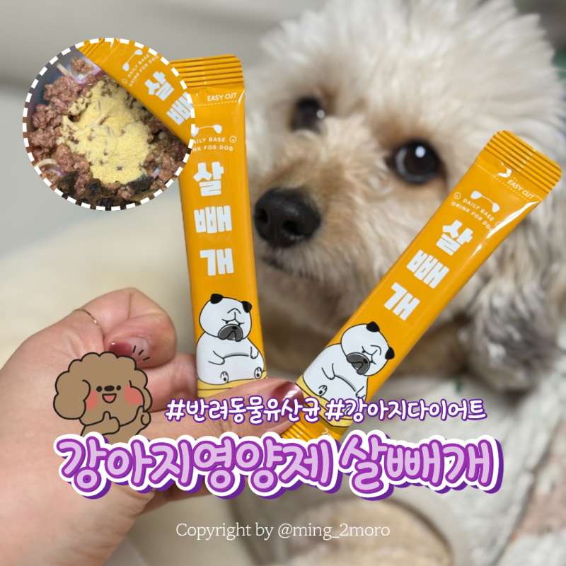강아지다이어트 고민 FITPET 강아지영양제 살빼개 선택한 이유