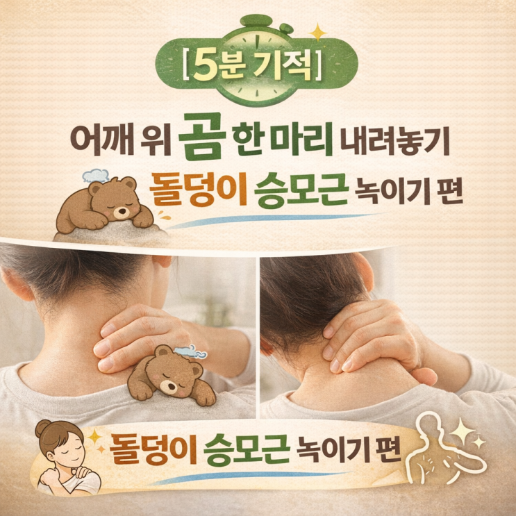   [5분 기적 시리즈2] 어깨 위 곰 한 마리 내려놓기: 돌덩이 승모근 녹이기 편