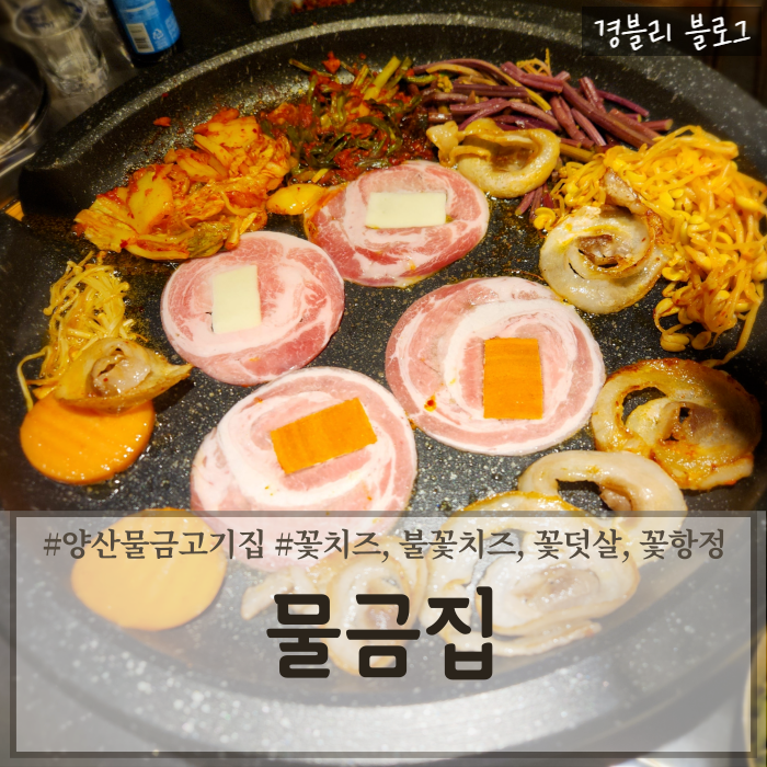  양산물금고기집 꽃치즈냉삼맛집 양산가성비맛집 '물금집'