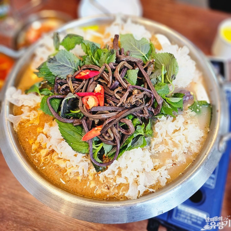  경기광주 순대국 맛있는곳 신주옥미 고사리 순대국과 고사리 순대곱창전골