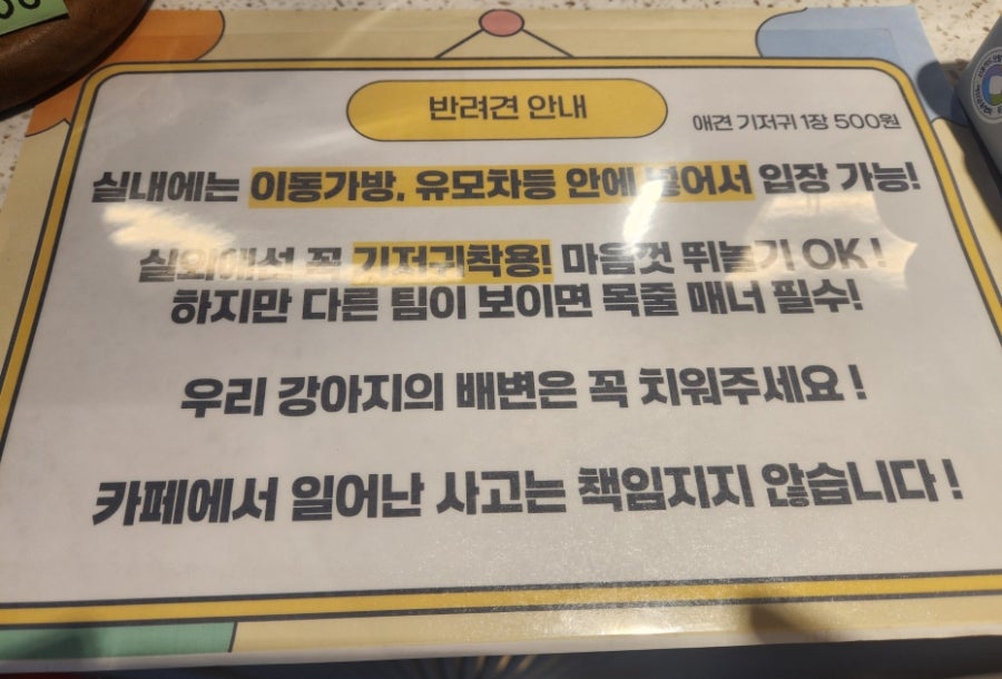 카페앤쇼 사진 5