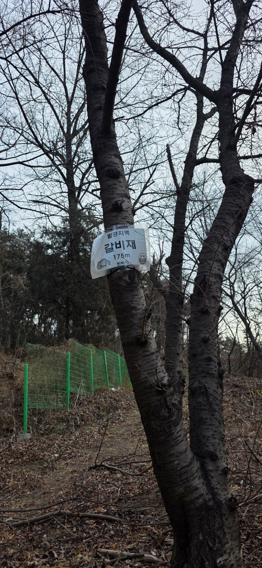 적라산 사진 2