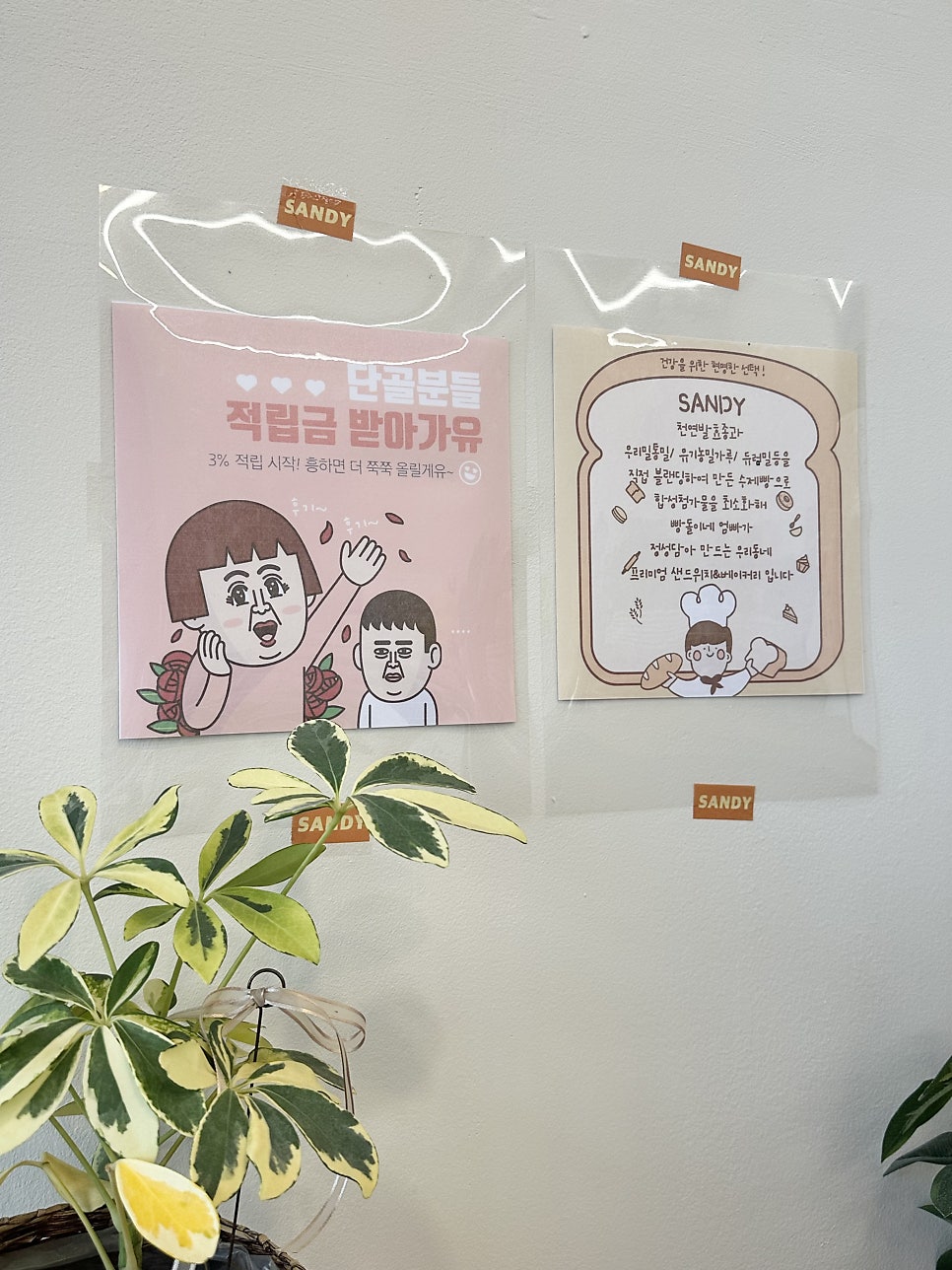 샌디 송도본점 사진 6