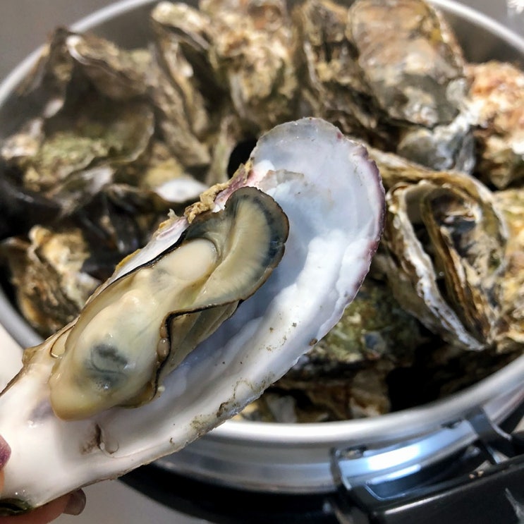  소래포구 굴찜 맛집 굴 시세 가격 5kg 만원 소라수산 내돈내산