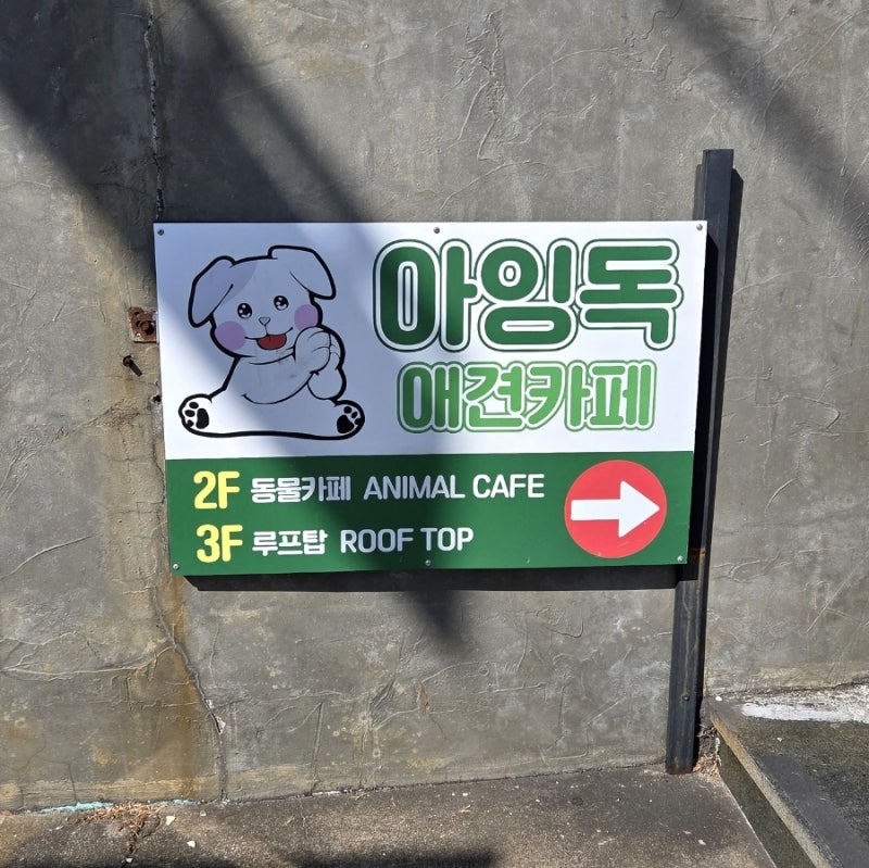사진 2
