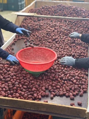 빵떡임당 사진 5