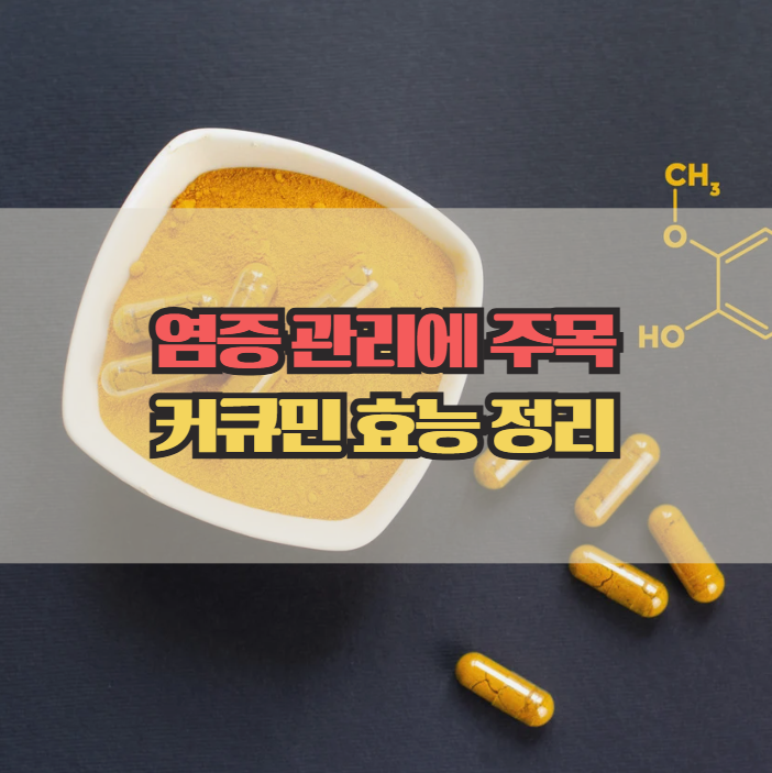  커큐민 효능, 염증 관리에 주목받는 이유