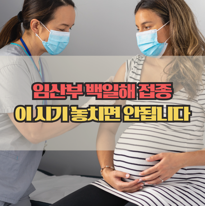  임산부 백일해 예방접종, 꼭 맞아야 할 시기 정리