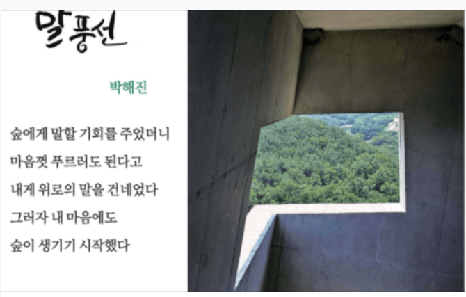 [시] (디카시) 2026 대구신문 신춘 디카시 공모대전 수상작 15편