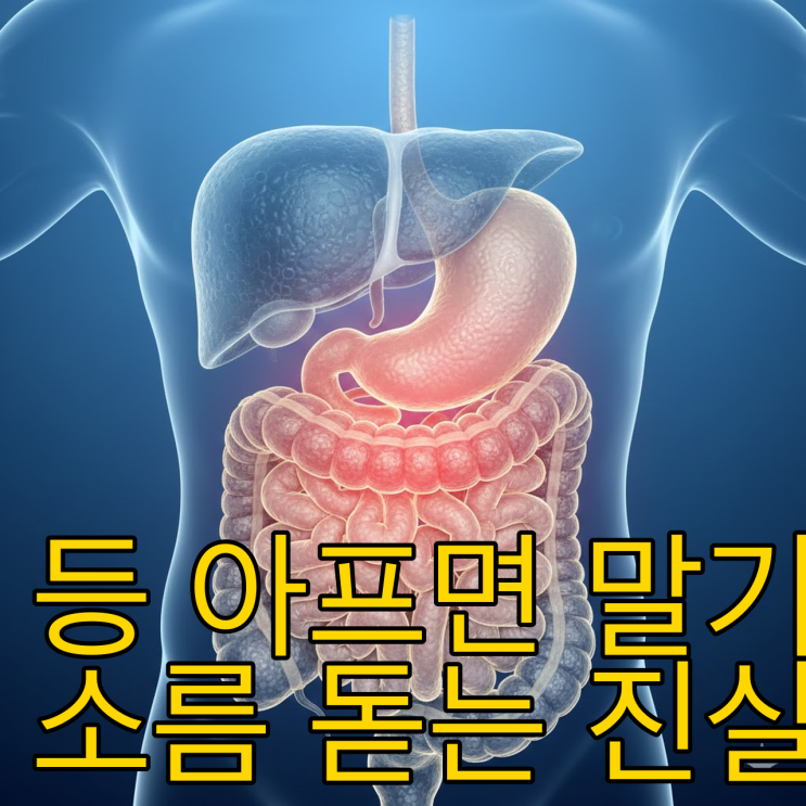  췌장암 초기증상, 등 통증과 황달이 보이면 이미 늦다?