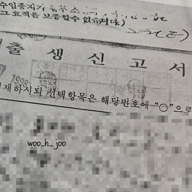 출생신고서 열람, 발급 방법, 준비물, 당일치기 밀양 법원 갔다 온 후기