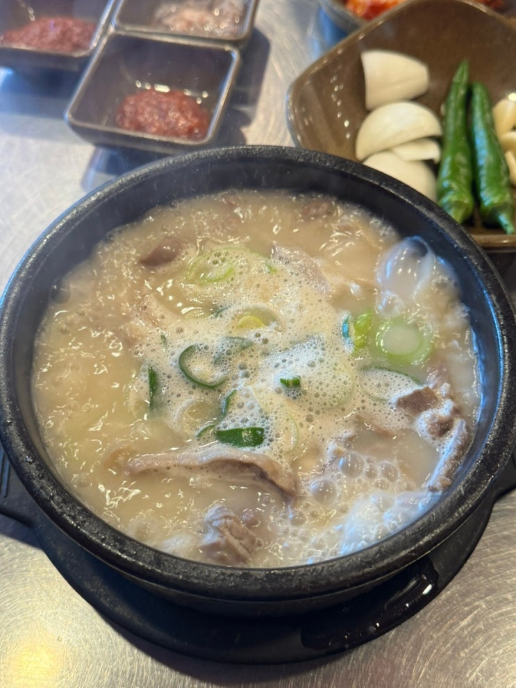  부산 벡스코 현지인 맛집 수변최고돼지국밥 센텀점