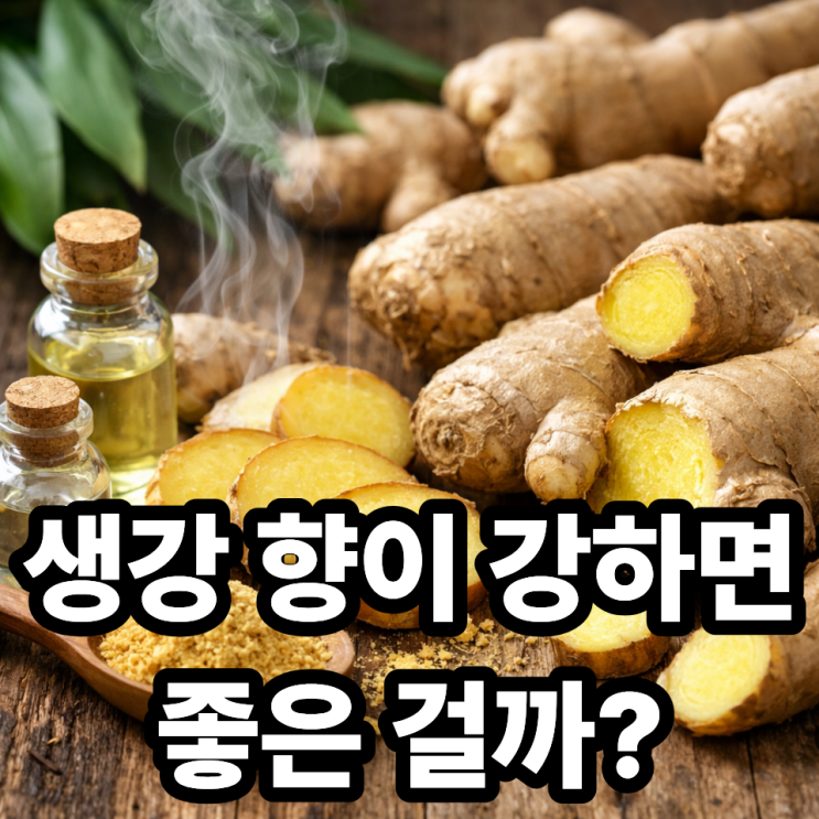  생강의 향이 강한 이유와 신선도 판단법｜좋은 생강 고르는 법 한눈 정리