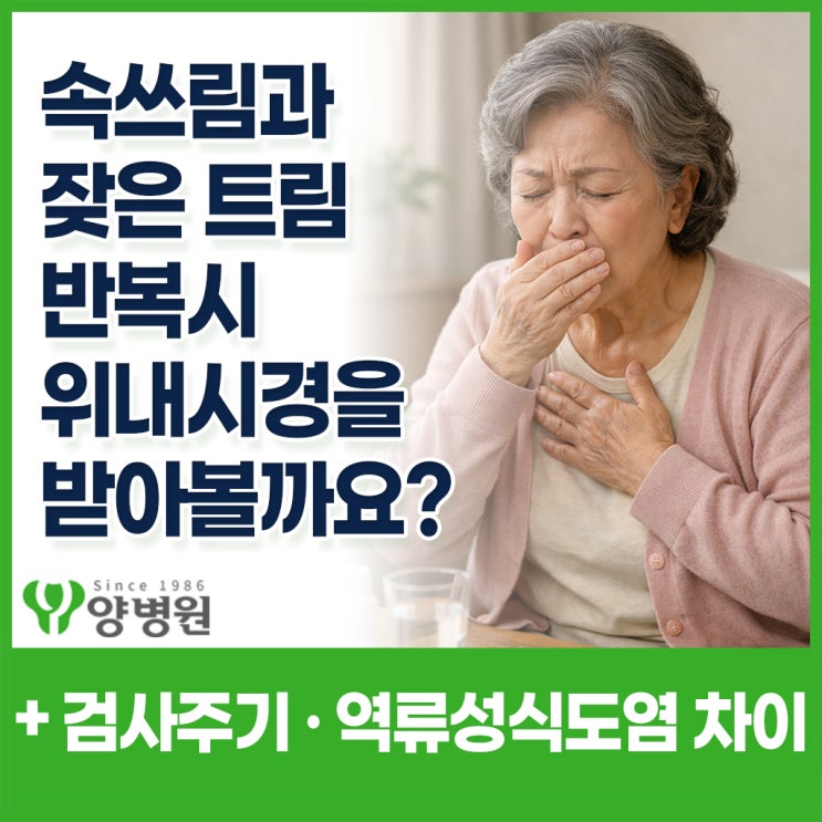 속쓰림·잦은 트림 반복 시 연령대별로 위내시경 검사주기 정리 – 역류성식도염 증상 기준