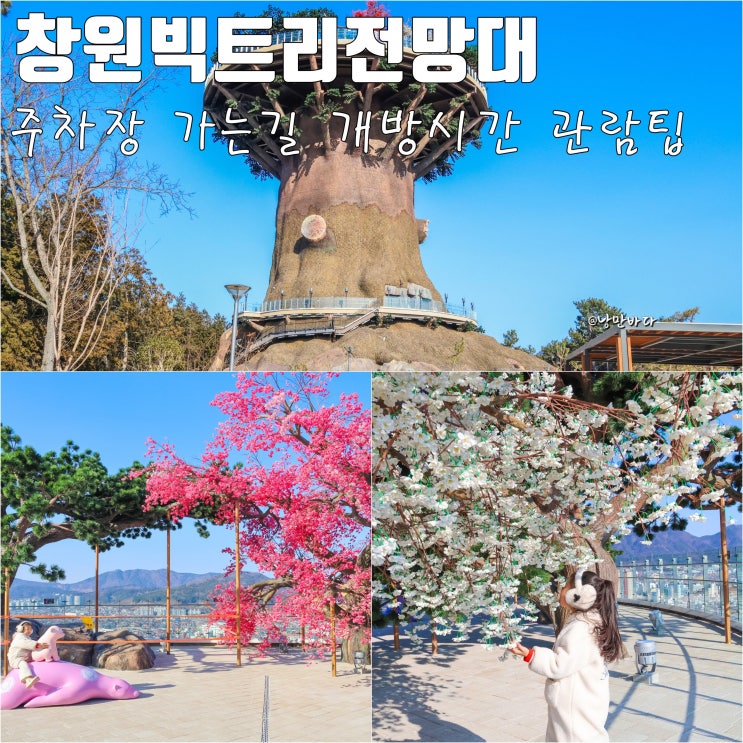 <b>창원 빅트리</b> 전망대 대상공원 주차장 가는 길 개방시간 관람 팁