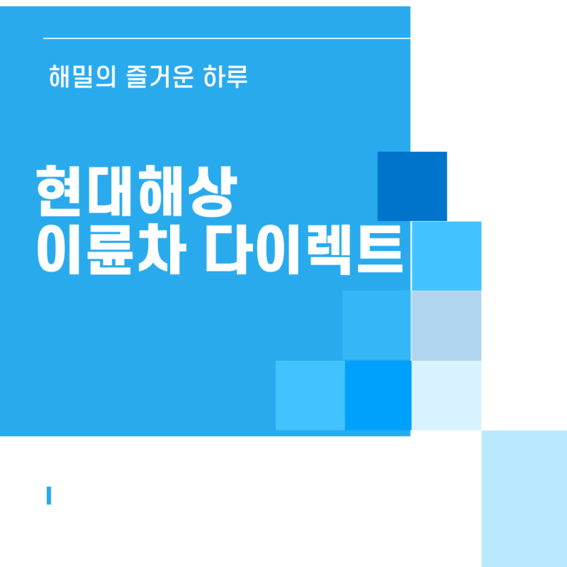 현대해상 이륜차 다이렉트 보험 추천│오토바이 보험 의무 가입 총정리