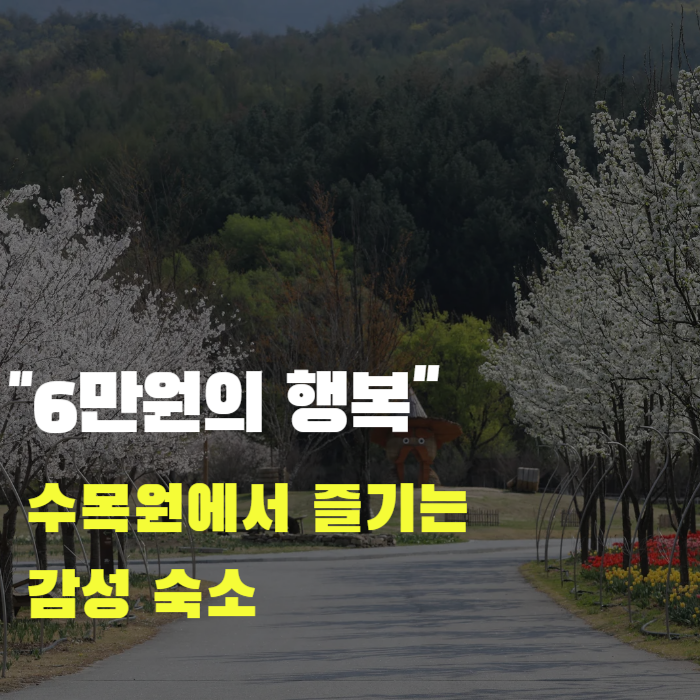 국립백두대간수목원 숙소 예약 홈페이지 6만 원으로 즐기는 숲캉스
