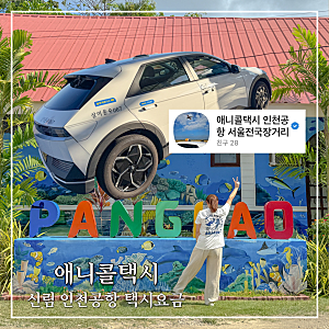 서울 인천공항 택시 요금 예약 애니콜택시 신림 출발 후기