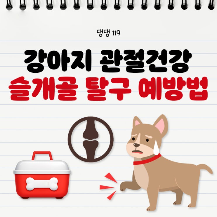  강아지 관절영양제 추천, 슬개골 탈구 예방 및 관리방법