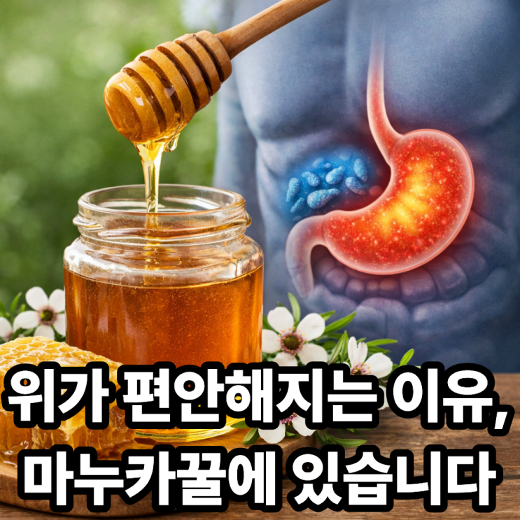  마누카꿀이 위 건강에 도움 되는 이유｜속 쓰림·위염 관리에 좋은 천연 식품