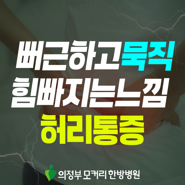  의정부 허리통증, 갑작스러운 아픔부터 반복되는 불편까지