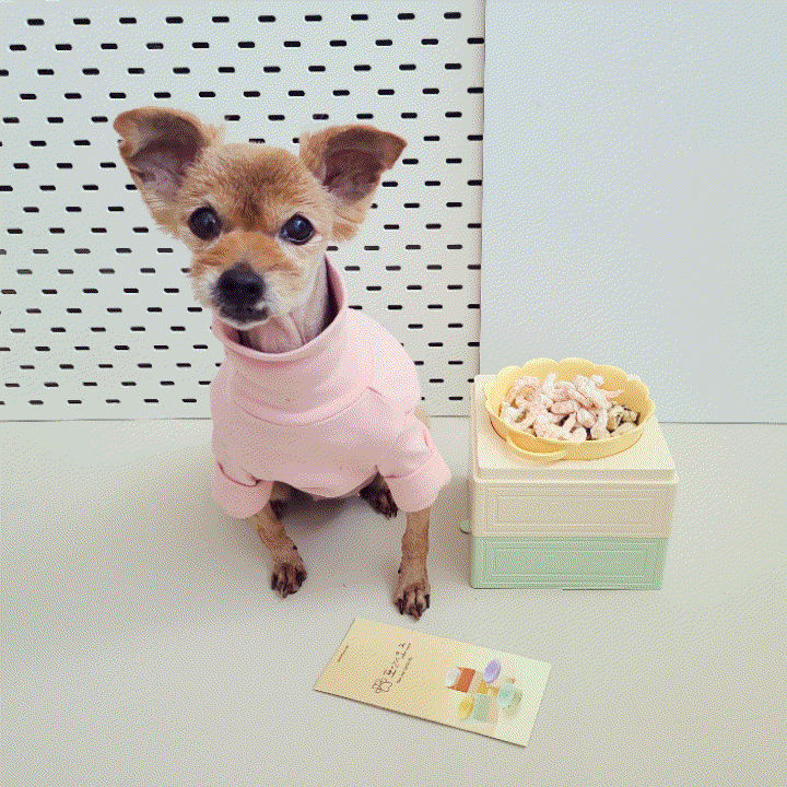  고양이 강아지식기 추천, 물그릇 밥그릇 높이조절 애견식기