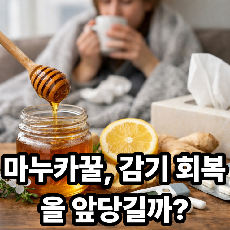  마누카꿀과 감기 회복 속도의 연관성
