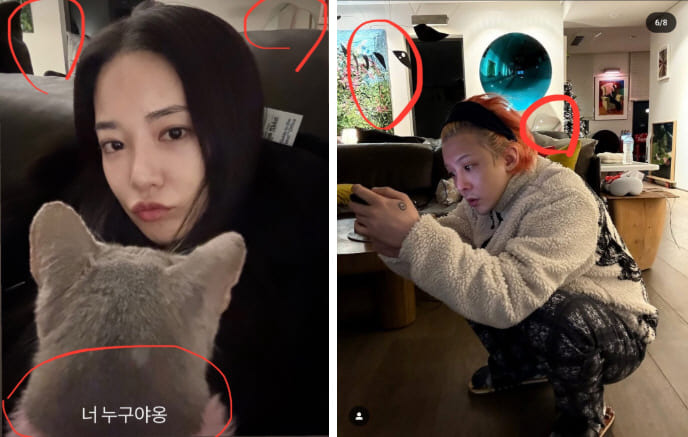  지드래곤 “사실무근” 공식 입장… 8년간 이어진 이주연 스캔들 정면 해명부터 SNS가 부른 사나 오해, 그리고 ‘수중 결혼’ 로망 고백까지 